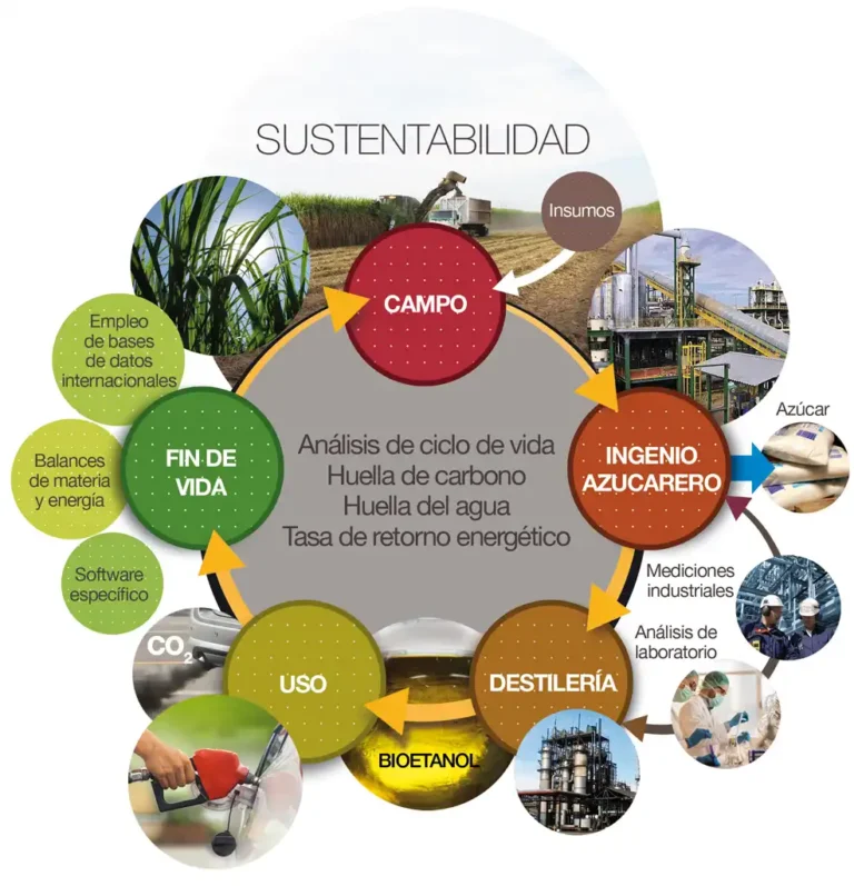 AB Azucarera: Estrategias para la Sostenibilidad y Rentabilidad en el Sector Azucarero