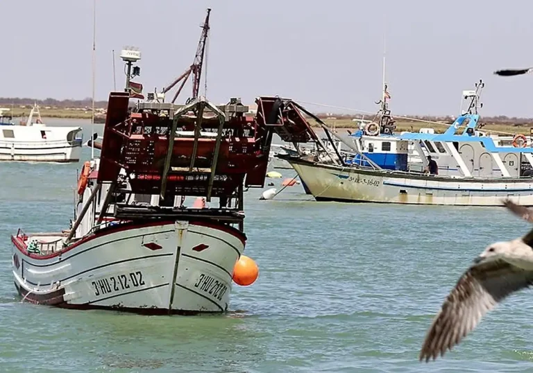 Acuerdo de Pesca en la UE: Un Respiro para la Flota Andaluza
