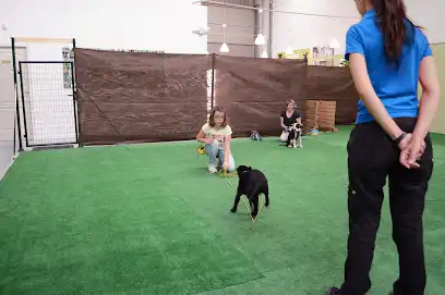 Adiestramiento canino científico: cómo ICAN aplica psicología y evidencia en Tomares