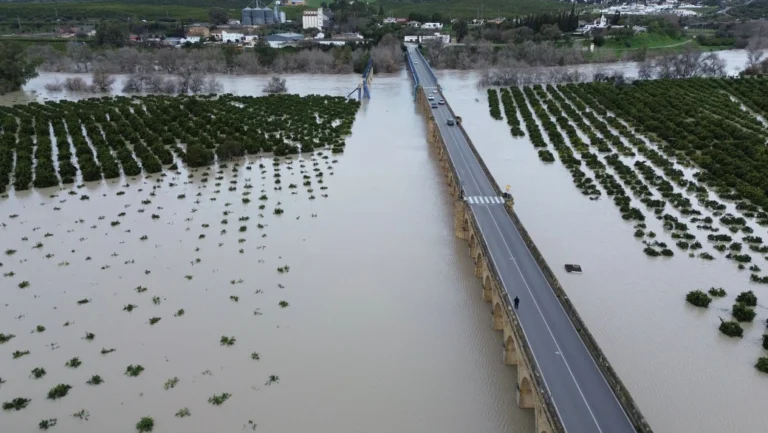 Crisis de Inundaciones en Palma del Río: Respuesta y Medidas de Seguridad