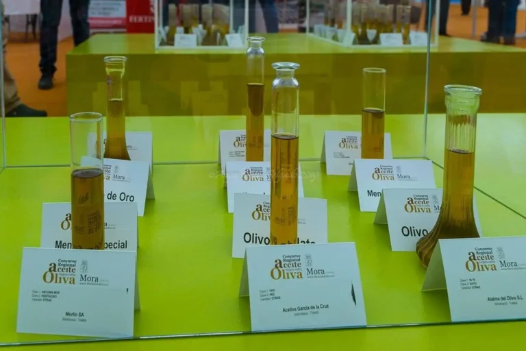 El Aceite de Oliva Virgen Extra: Un Camino Hacia la Declaración de Salud en Europa