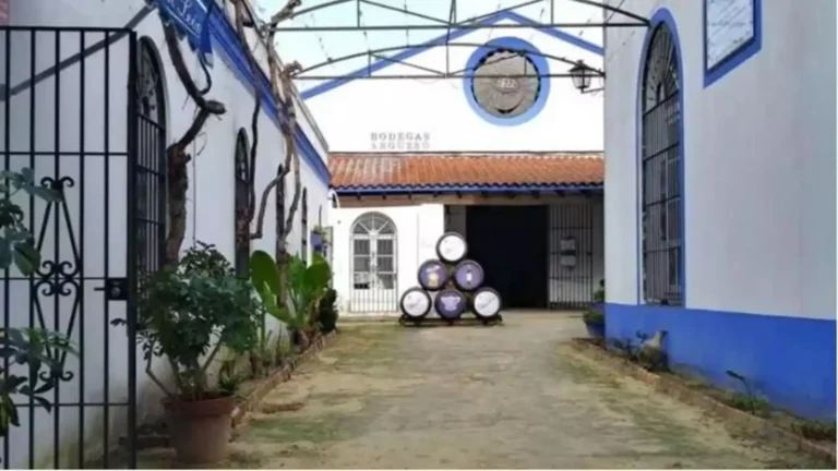 El Futuro de Bodegas Argüeso: Un Legado en Juego