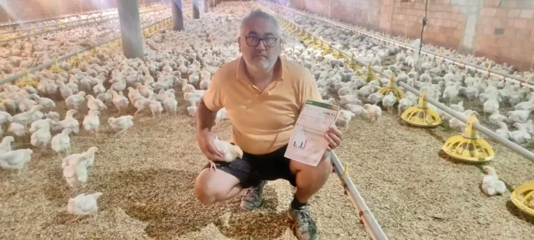 El Impacto del Confinamiento de Aves en la Producción de Huevos en España