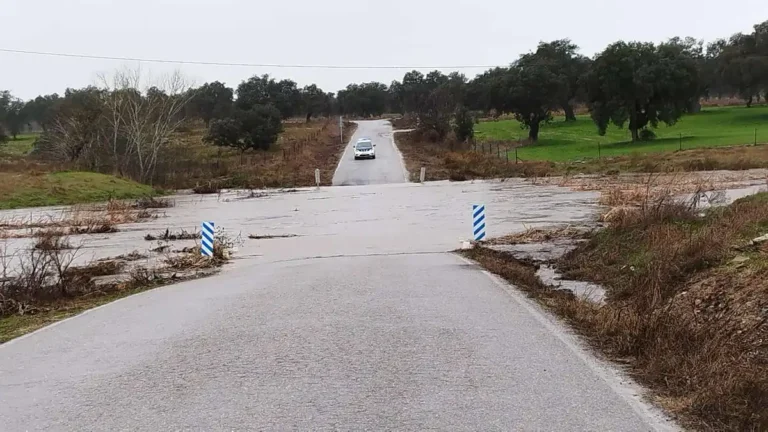 Impacto de la Borrasca Kristin en Córdoba: Lluvias y Vientos Desgarradores
