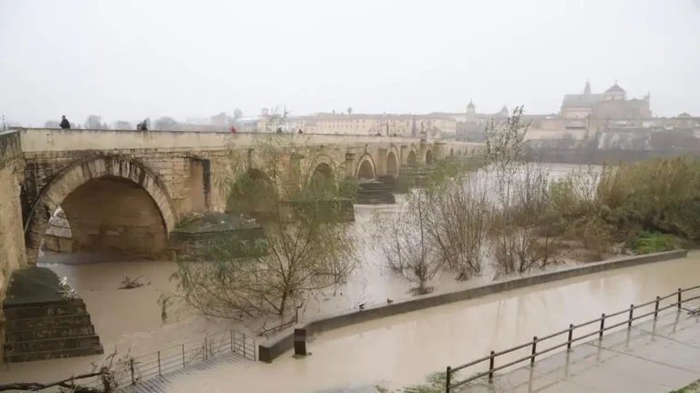 Impacto de las Borrascas en Córdoba: Inundaciones y Medidas de Recuperación