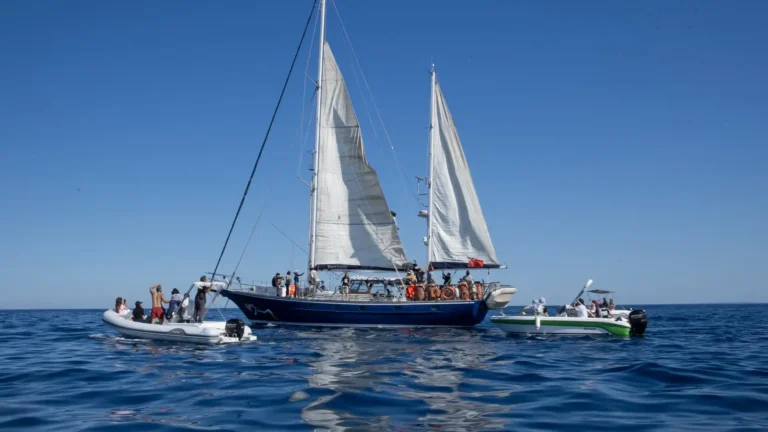 La Flotilla de la Libertad: Desafíos y Respuestas Humanitarias en Gaza