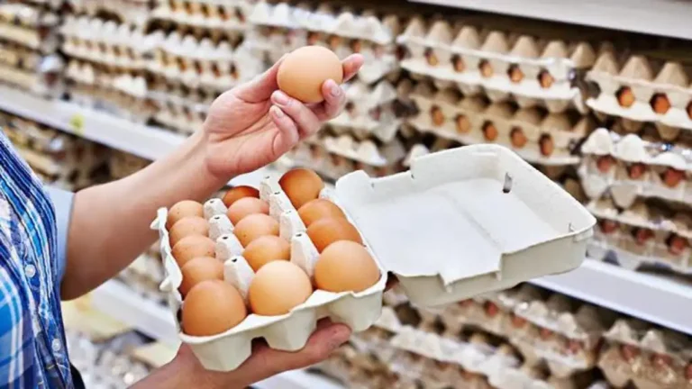 La Gripe Aviar y su Impacto en el Mercado de Huevos: Análisis Actual