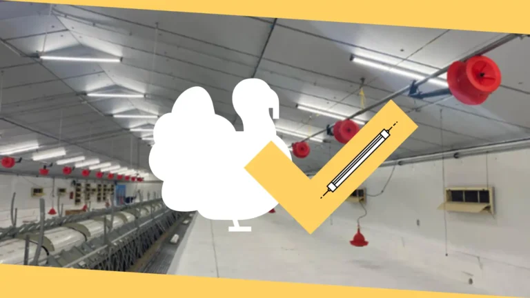 Procavi: Innovación y Crecimiento en el Mercado del Pavo