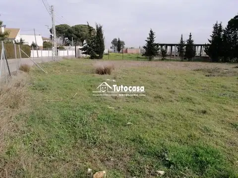 Subasta de Fincas Rústicas en Sevilla: Oportunidades en el Sector Energético