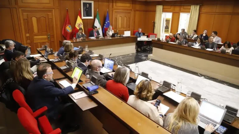 Tensión Política en el Pleno de Córdoba: Un Debate sobre Ideologías y Libertades