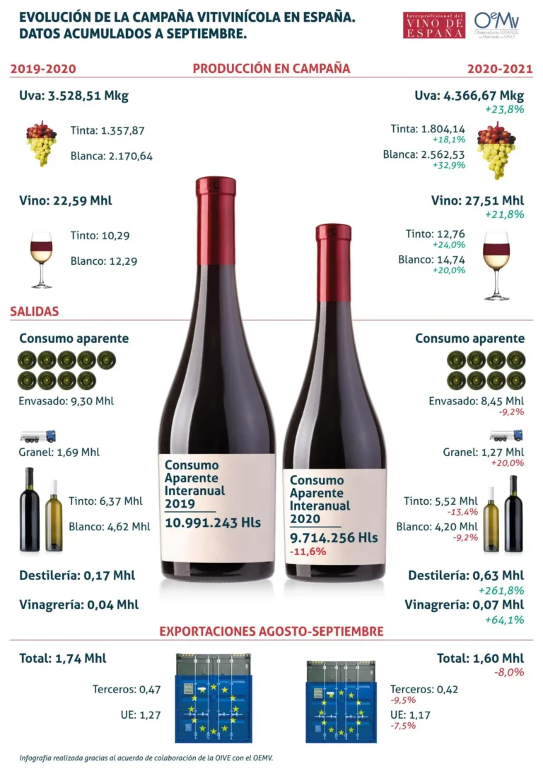 Transformaciones en la Industria Vitivinícola Española: Un Análisis de la Evolución de las Bodegas